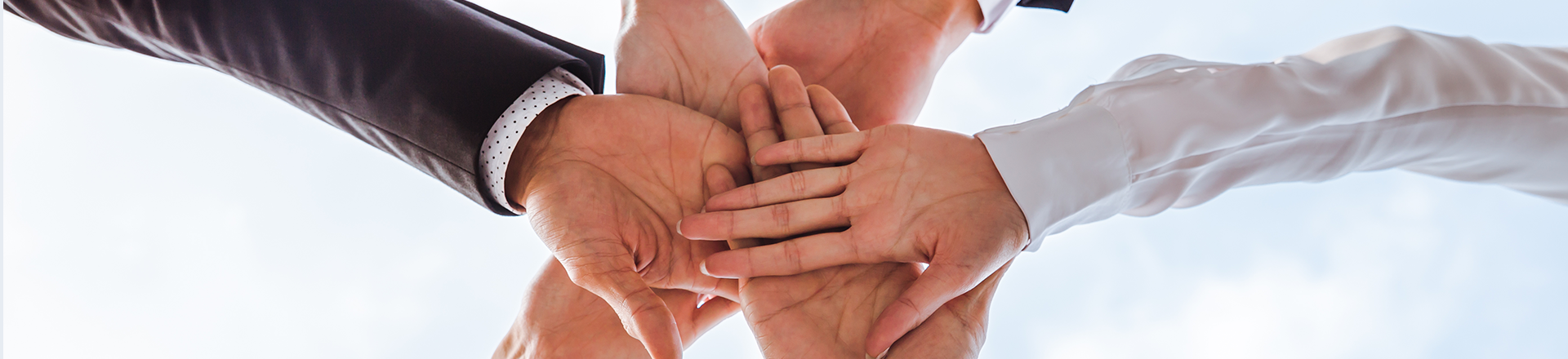 乐鱼官方站页面登录入口